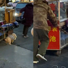 小狗街头帮主人拉车，使劲浑身解数看呆路人：这个家没我迟早得散