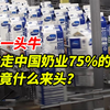 不养一头牛，却拿走中国奶业75%利润，它究竟是什么来头