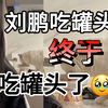 刘鹏会吃罐头了🥰还会对着镜头吃