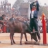 各国杀牛方式对比，印度的被踢飞，尼泊尔的最痛快
