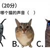 2024猫meme期末考试（加长版