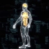 视频素材-7个3D人体X射线大脑心肺肝脏肠胃全身HUD UI粒子动画