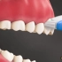 怎么科学刷牙，3D演示。。