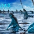 【4K】卡梅隆巨制《阿凡达2：水之道》官方预告片，12月16日上映