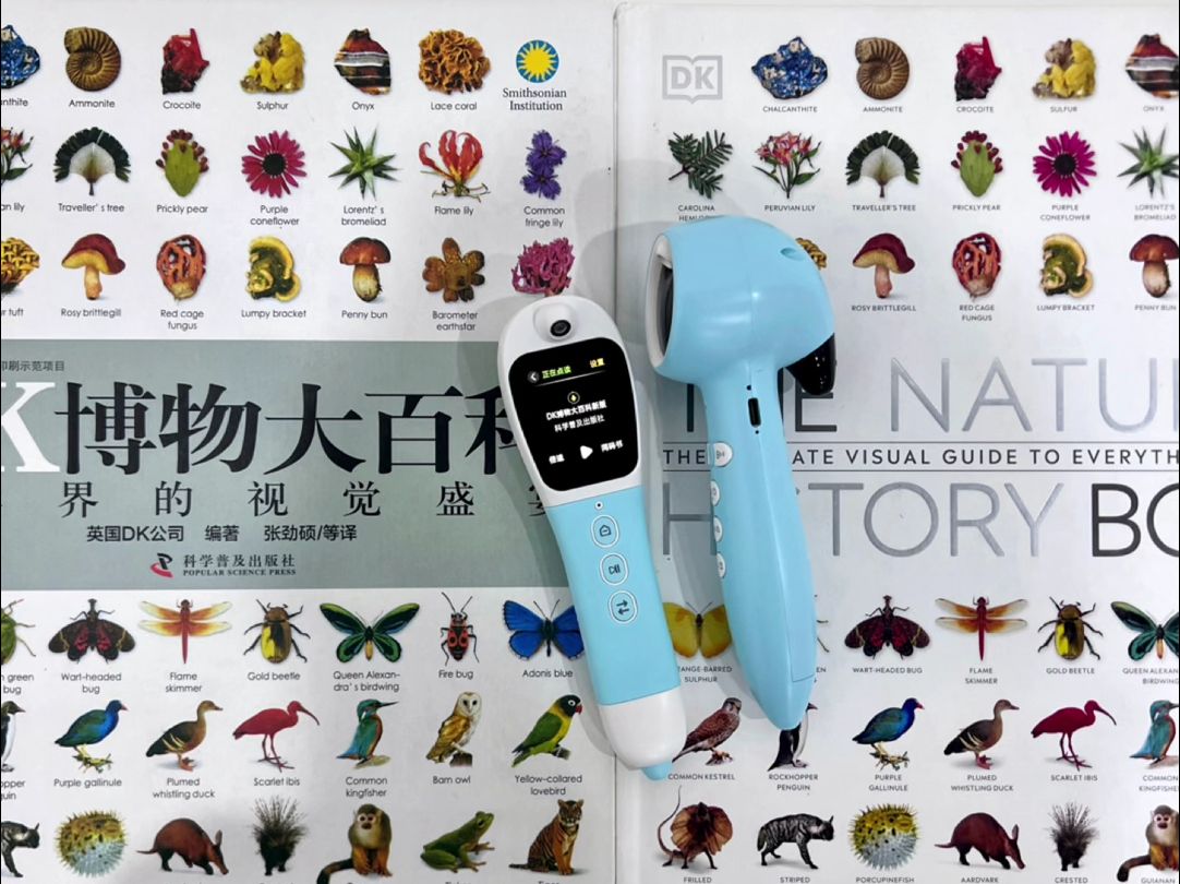 小蝌蚪点读DK博物大百科