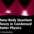 【凝聚态物理】量子多体物理-Quantum Many-Body Physics-by Luis Gregorio Dia