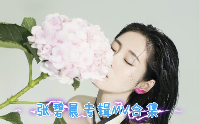 胡桃夹子哔哩哔哩bilibili