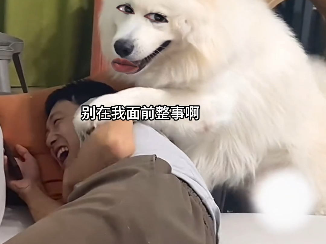 我还不知道你们那点小心思