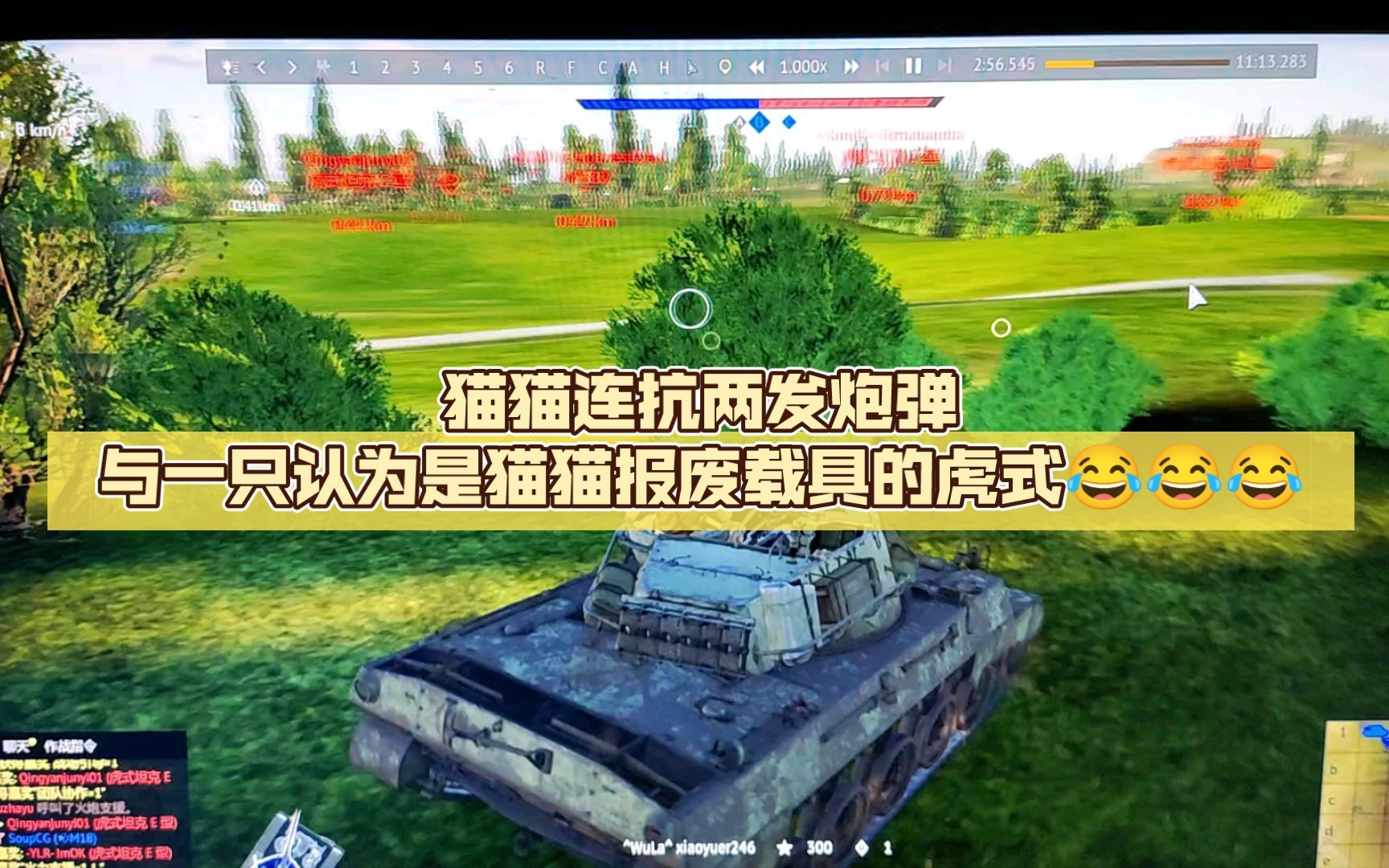 【战争雷霆】猫猫连抗两发炮弹与一只认为是猫猫报废载具的虎式98