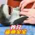 养只鲨鱼宝宝当宠物，是什么体验？