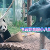 惊天大瓜