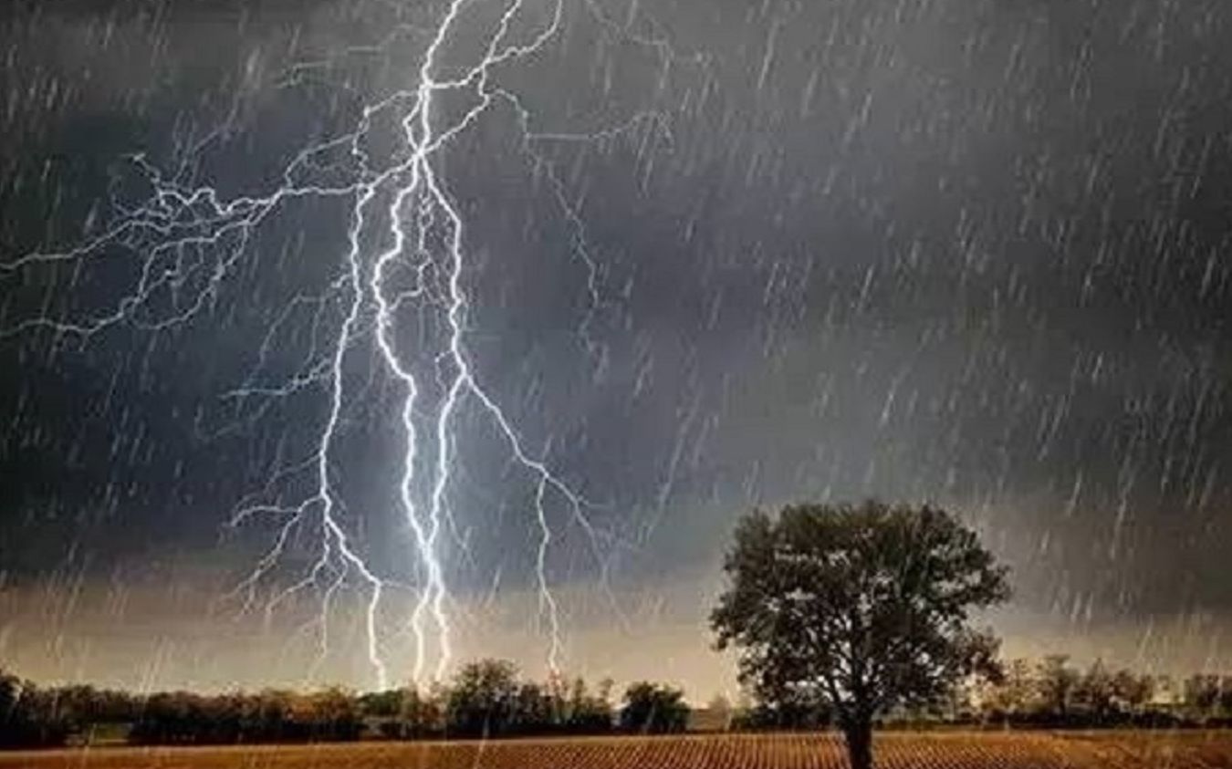 印度博帕尔雷暴雨 “雷神”降临城市上空闪电乱舞|雷神|博帕尔_新浪新闻