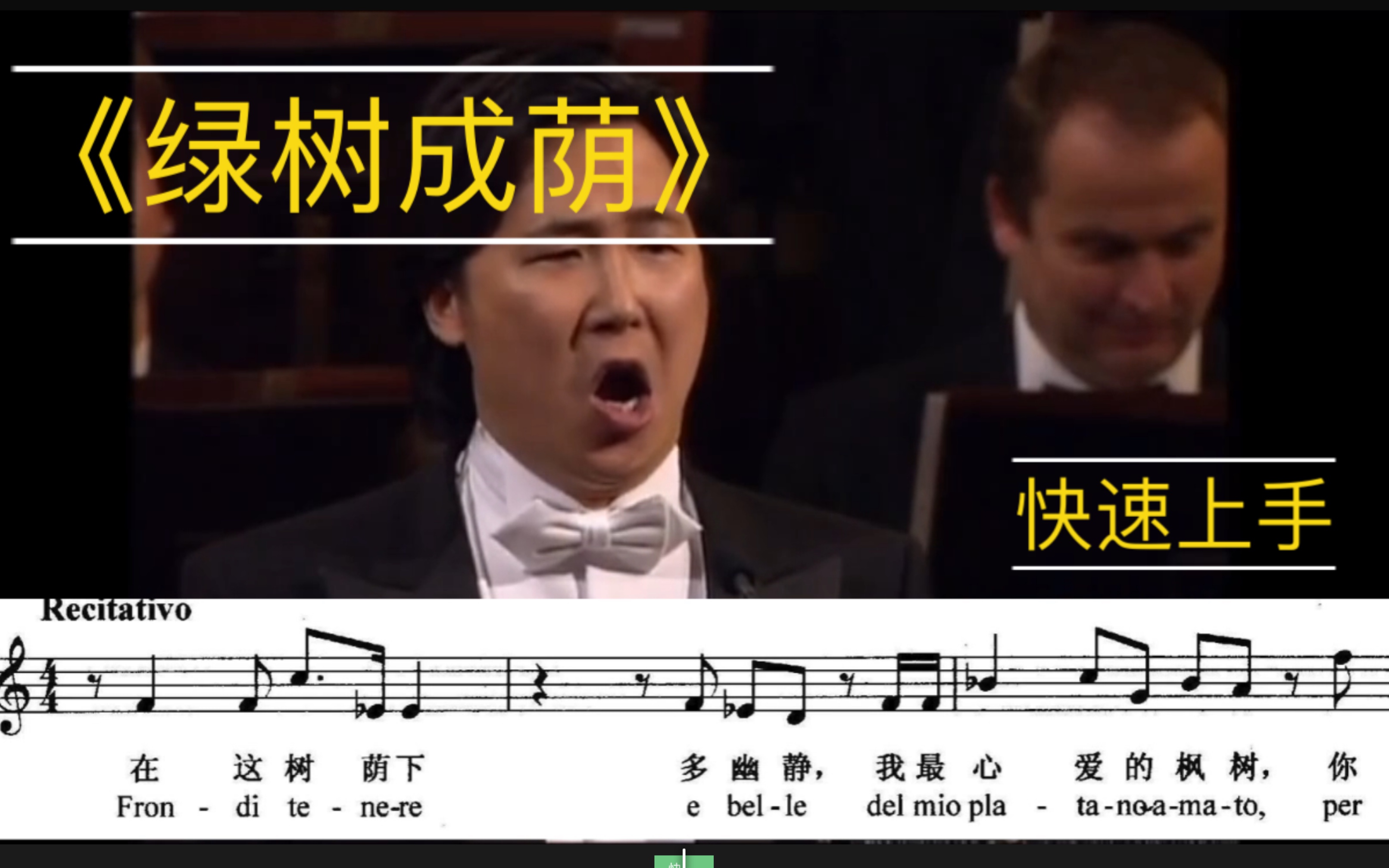 《绿树成荫》【快速上手】【意大利歌曲集】廖老师强！歌曲集持续更新中，还有歌剧系列持续更新