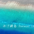 [Philow's journey]西沙群岛Paracel Islands part2北礁