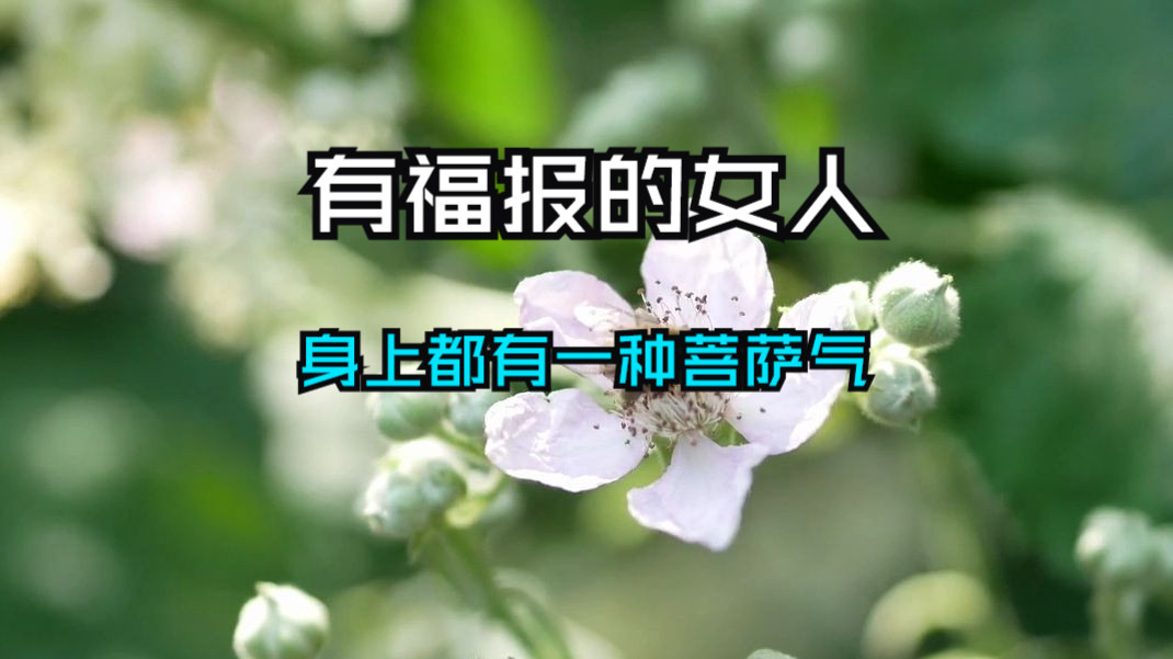 真正有福报的女人，身上都有一种菩萨气。