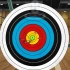 iOS《射箭冠军》单人游戏攻略关卡96_超清(5784902)