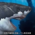 巨齿鲨搜 到底有多可怕，超乎你的想象？ #科普一下  #巨齿鲨