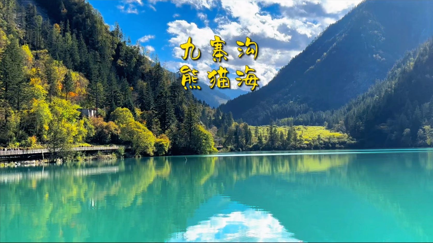 九寨沟熊猫海，一个连国宝都认证的5A级“泡吧”胜地！