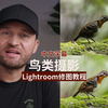 鸟类摄影Lightroom修图教程(中文)Jan Wegener