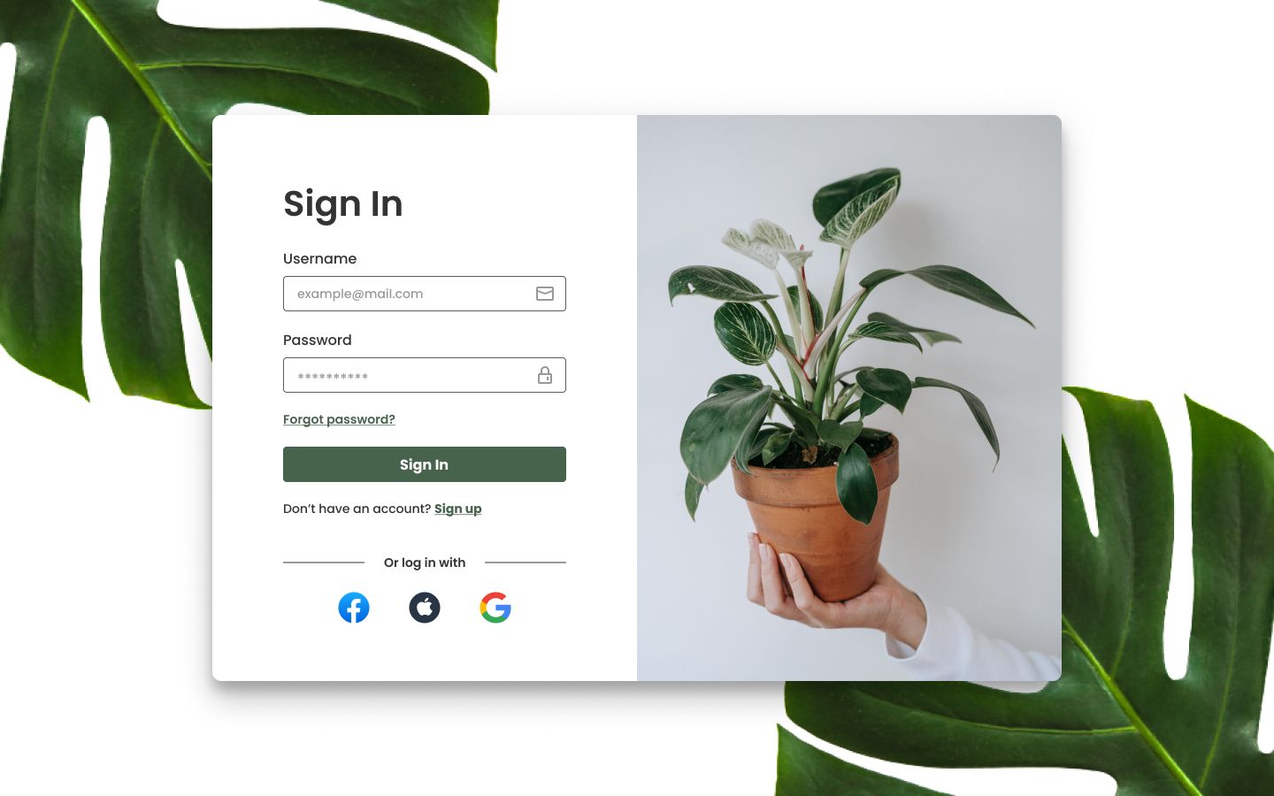 Figma实战案例#1 登陆UI设计
