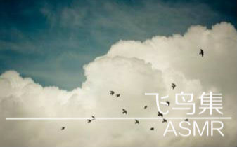 【中文ASMR】飞鸟集+摩擦音，助眠向