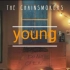 The Chainsmokers《young》一首好听的英文歌