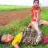 柬埔寨小哥之路上碰到条蛇