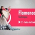【弗拉门戈】StepFlix Flamenco technique, level 1 dance lessons ser