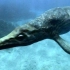 【古生物】三叠纪早期海洋霸主杯椎鱼龙