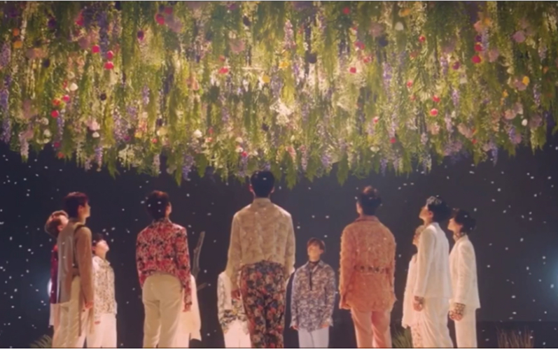【Seventeen】Fallin' Flower（落花宝）绝美MV
