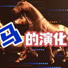 想看看始祖马长什么样吗？其实……就是不太聪明的样子