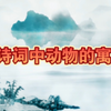 乌飞兔走——古诗词中动物的寓意
