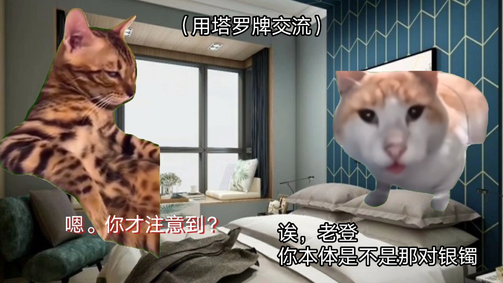 〖猫meme〗⚡陪了我十年左右的银镯子，竟然早就有了灵智，还想和我成婚？！！！⚡