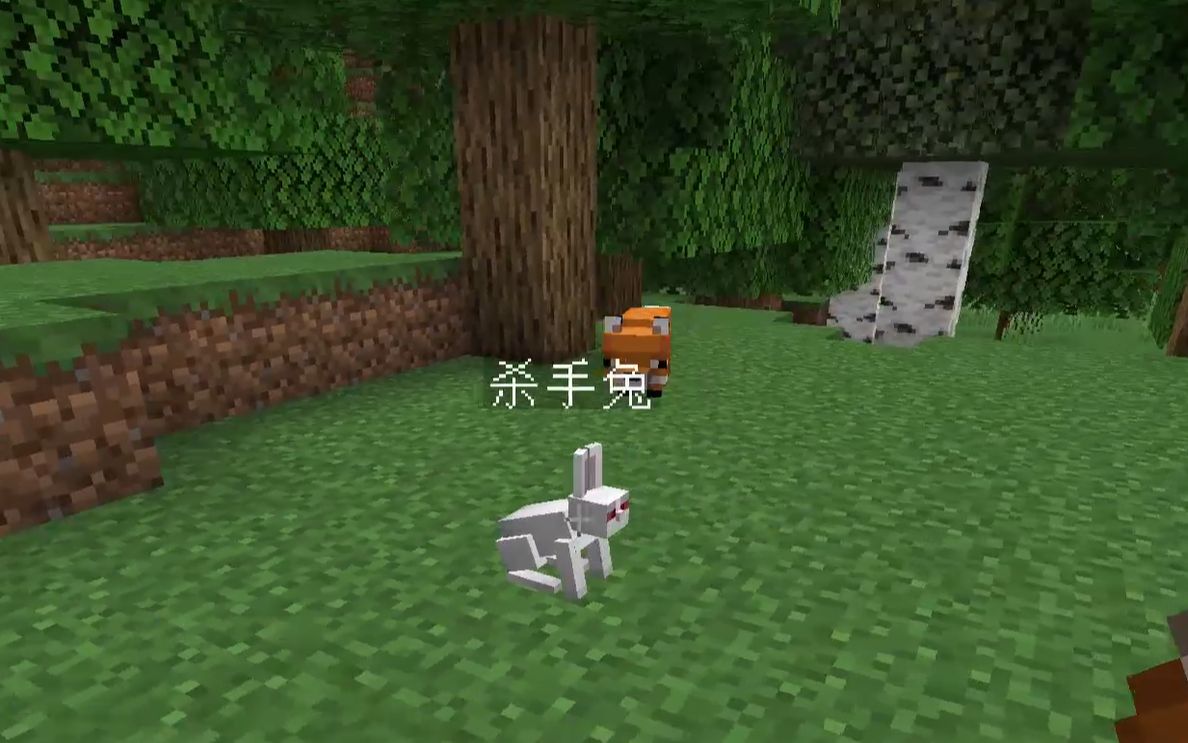 [minecraft 19w07a] 小实验:当狐狸遇上杀手兔会发生什么情况