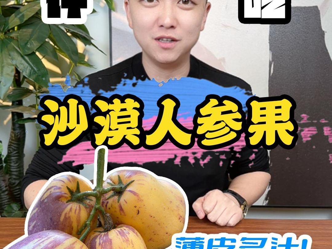 沙漠人参果测评