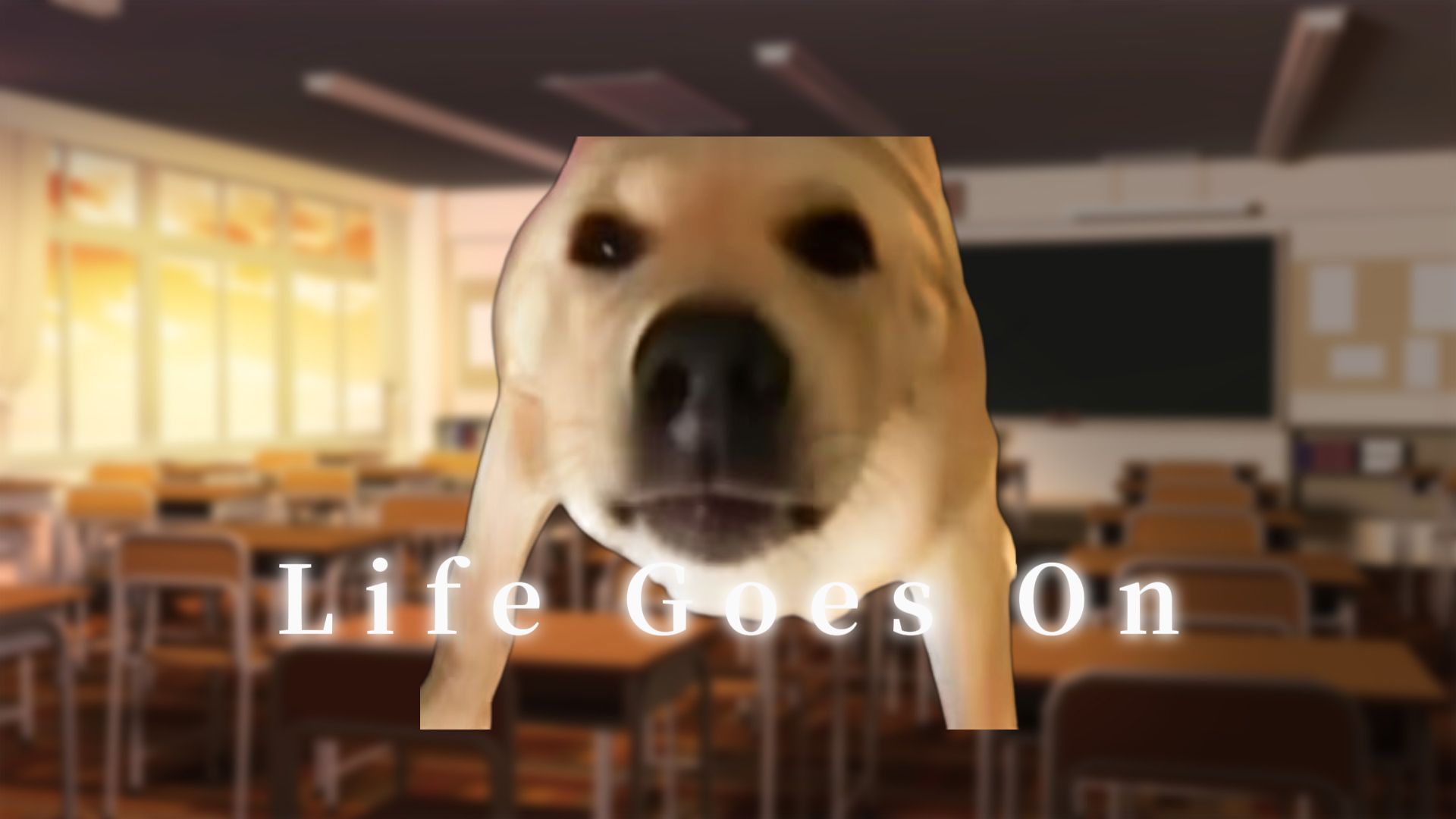 《Life 狗子 On》"大狗仍在叫叫"
