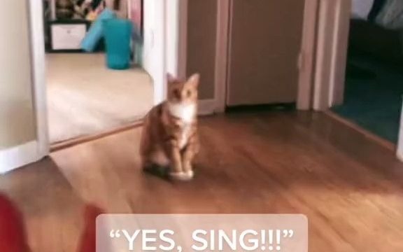 SING！！FOR！！MEEEEEEE！！！！！！！！