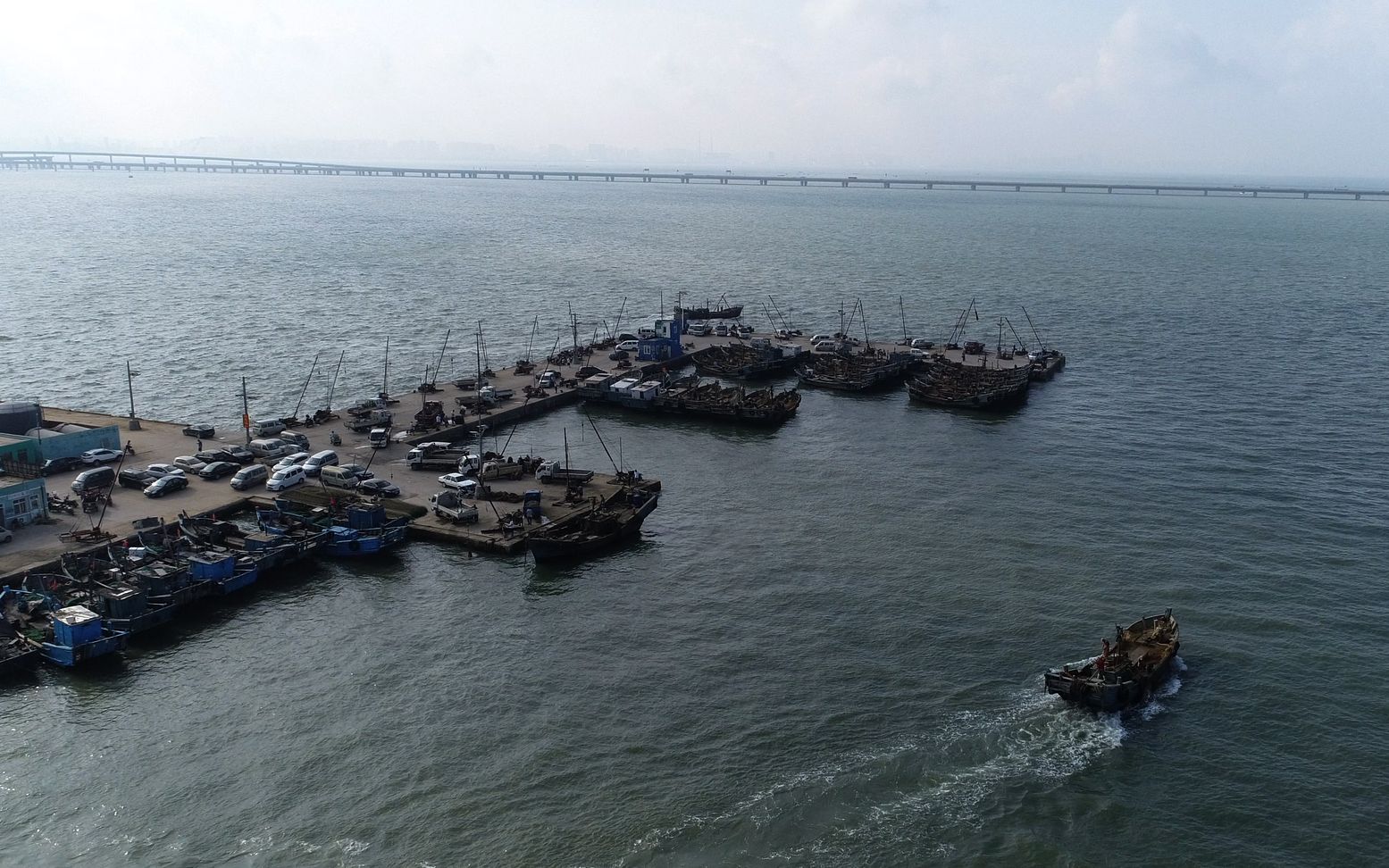 鱼皮鼓之百年溯源