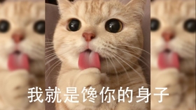 我就是馋你身子