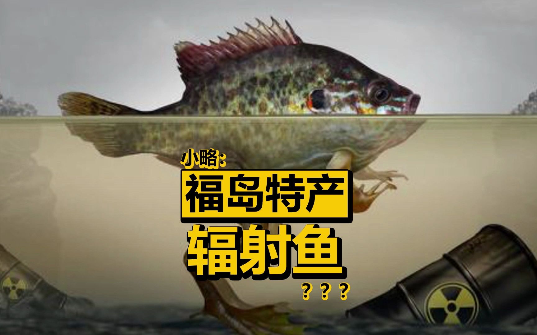 日本福岛捞出“辐射鱼”？思密达都害怕啦！