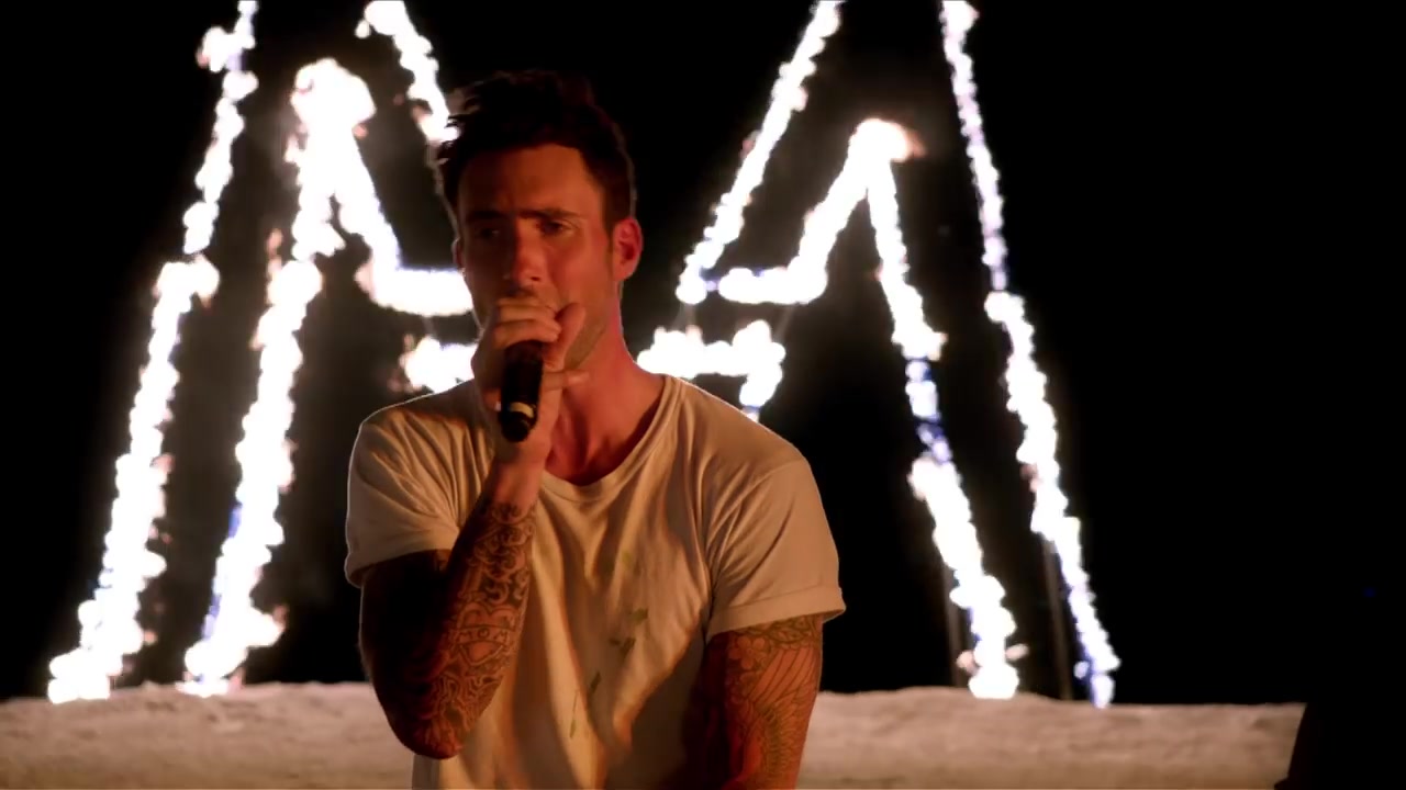 maroon5mvsugarthisloveanimalmoveslikejagger