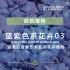 浪漫的蓝紫色系北京花境花园植物-03