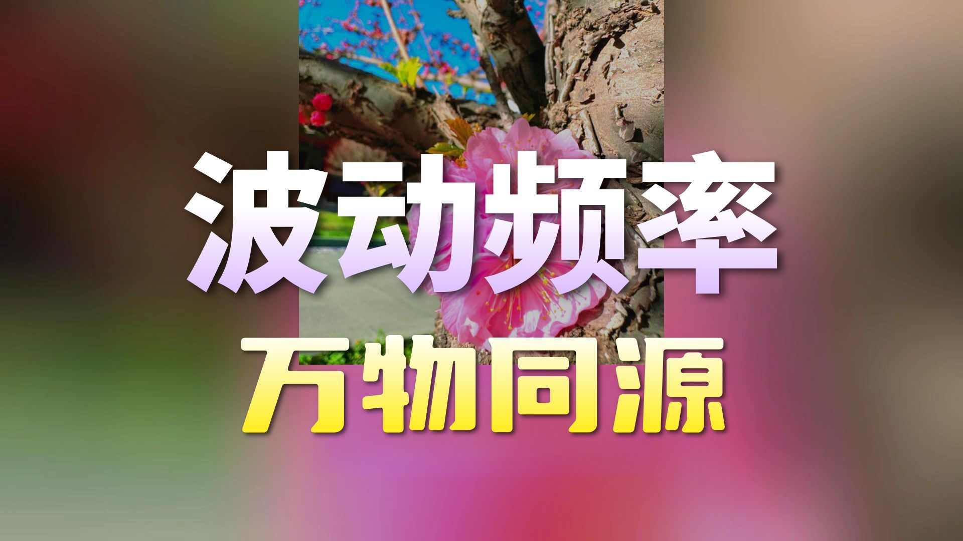 体佛法师开示：共同体