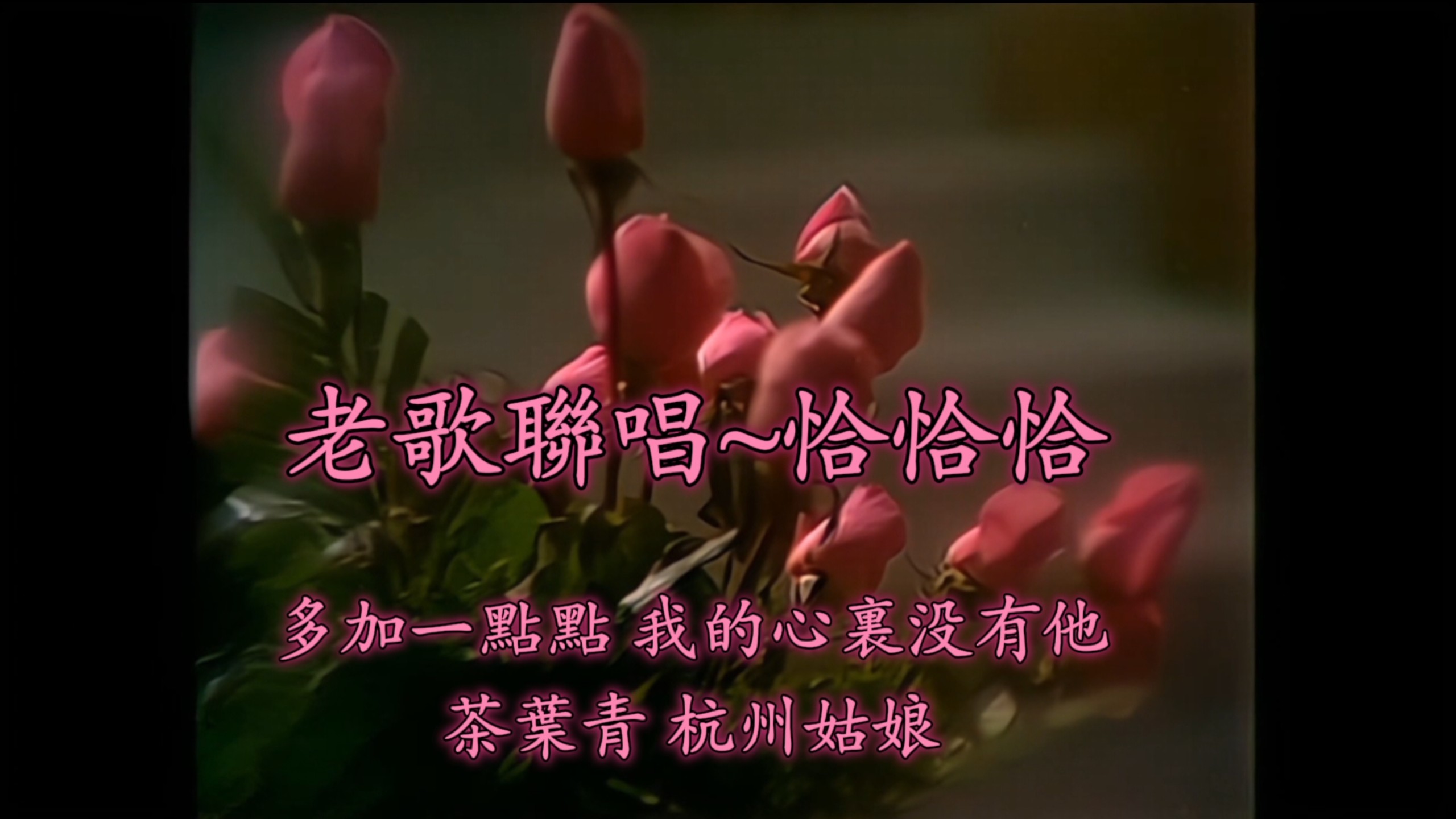[Classic Oldies - Dance Show] Cha Cha - A Little Bit More + I Don't Have Him in My Heart + Tea Leaf Green + Hangzhou Girl [Singing Show]