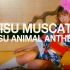 NIPPON偶像团体惠比寿麝香葡萄(恵比寿マスカッツ)新专辑-EBISU ANIMAL ANTHEM MV