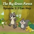 【LIttle Fox第一级别】The Big Green Forest绿色大森林24集动画+音频+绘本PDF+练习+单