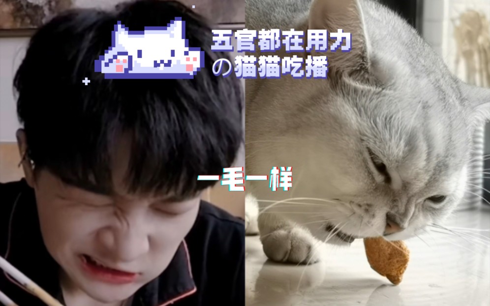 【周深】周猫猫！我没疯！没有出现幻觉！真的看见耳朵啦！