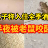 女子称住全季酒店半夜被老鼠咬醒，投诉人：酒店愿赔5000元，同时要求不得以任何形式透露本次事件被拒绝