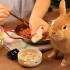 【一人一兔的深夜食堂】香香脆脆的大白藕 小兔子吃的贼香！！！
