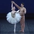 【芭蕾】《白雪公主》大双人舞-Tamara Rojo & Inaki Urlezaga